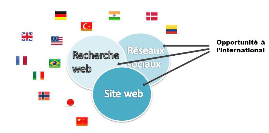 stratégie web à l'international